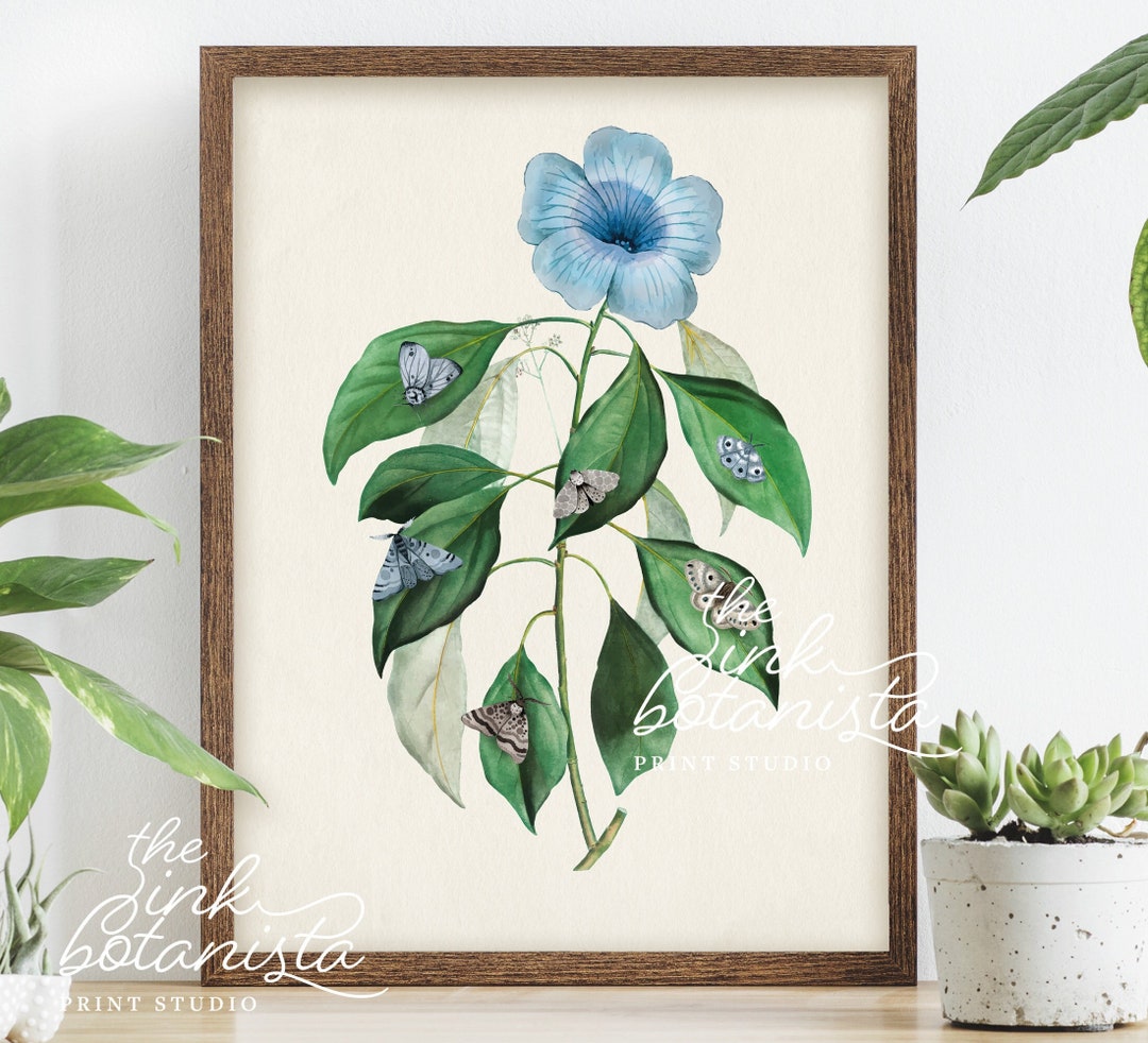 Blue Flower Botanical Print, Vintage Style Wall Art, Antique Style ...