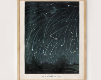 Der November Meteore Druck, Meteoris von e.l. trouvelot Poster, Nachthimmel Druck, Astronomie Druck, Astrologie Druck, Kometen Druck, Himmelskörper