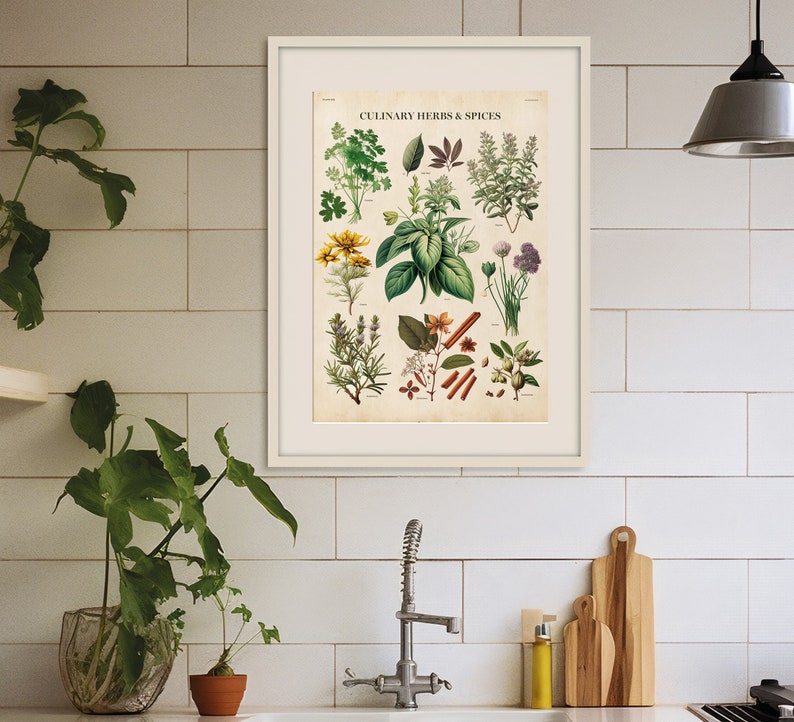 Vintage Kitchen Herbs Print: Botanical Chart Poster - Etsy