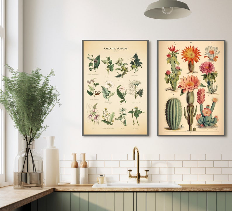 May include: Two vintage botanical prints, one titled "NARCOTIC POISONS" with illustrations of various plants, and the other featuring a variety of cacti with pink and orange flowers.