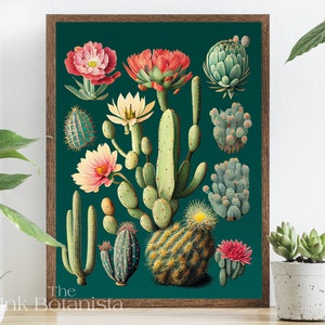 Kaktus Chart Print, Kakteen Poster, botanisches Poster, Sukkulenten Wandkunst, Kaktus Arten Chart, Antik Stil Pflanzen Print, blühender Kaktus