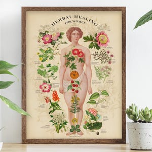 Herbs for Women print, herbs chart poster, medical plant types print, herb types print, Female Herbalist Art