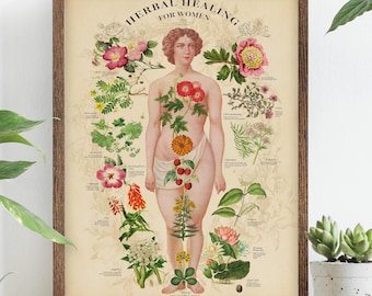 Erbe per le donne: stampa botanica vintage, arte di erborista femminile