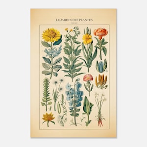 Le Jardin des Plantes 1906 Botanical Poster