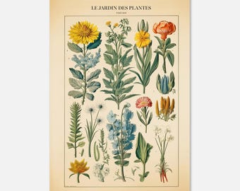 Affiche botanique Le Jardin des Plantes 1906