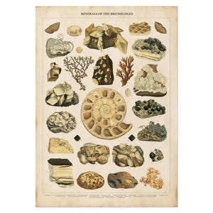 Vintage grafiek met edelstenen en mineralen, poster mineralen van de Britse eilanden