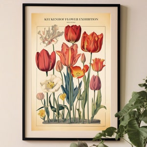 Vintage tulpenprint, oude botanische kaart, vintage plantenposter, Hollandse bloemenmarkt, tentoonstelling Keukenhof