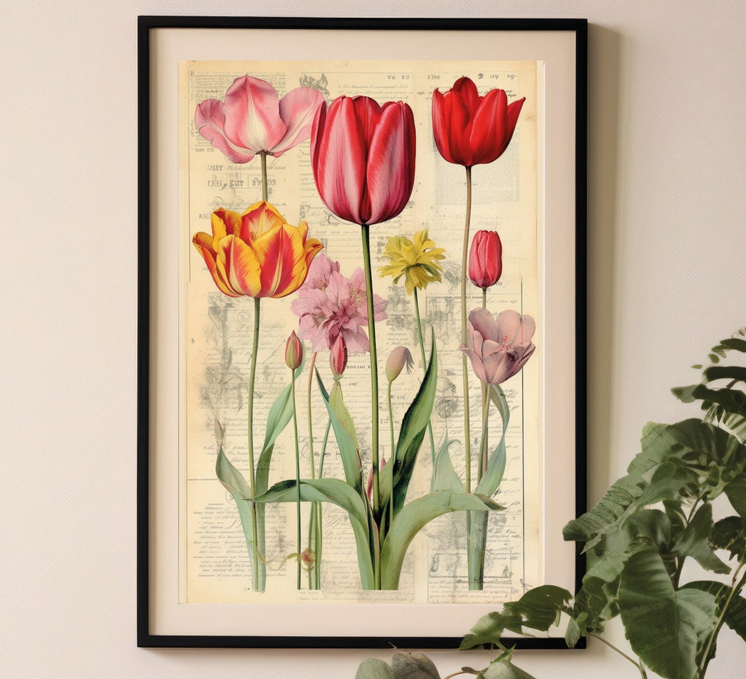 Vintage Tulip Botanical Print: Colorful Floral Wall Art - Etsy