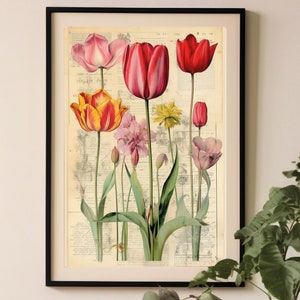 Impresión de tulipanes coloridos, impresión botánica vintage, cartel de flores rojas, arte de pared edificante, decoración de pared feliz, regalo de jardinería
