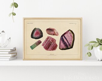 Tourmaline print, vintage gemstone print, mineral vintage print, art poster, crystals print, vintage gem print, geology print, gray