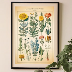 Impresión de gráfico de plantas vintage, cartel de gráfico de cocina, decoración de placa de libro botánico, arte de pared botánico, gráfico botánico antiguo, jardines reales