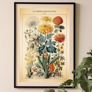Impresión de gráfico de plantas vintage, cartel de gráfico de cocina, decoración de placa de libro botánico, arte de pared botánico, gráfico botánico antiguo, jardines reales