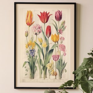 Impresión de tulipanes coloridos, impresión botánica vintage, cartel de flores rojas, arte de pared edificante, decoración de pared feliz, regalo de jardinería