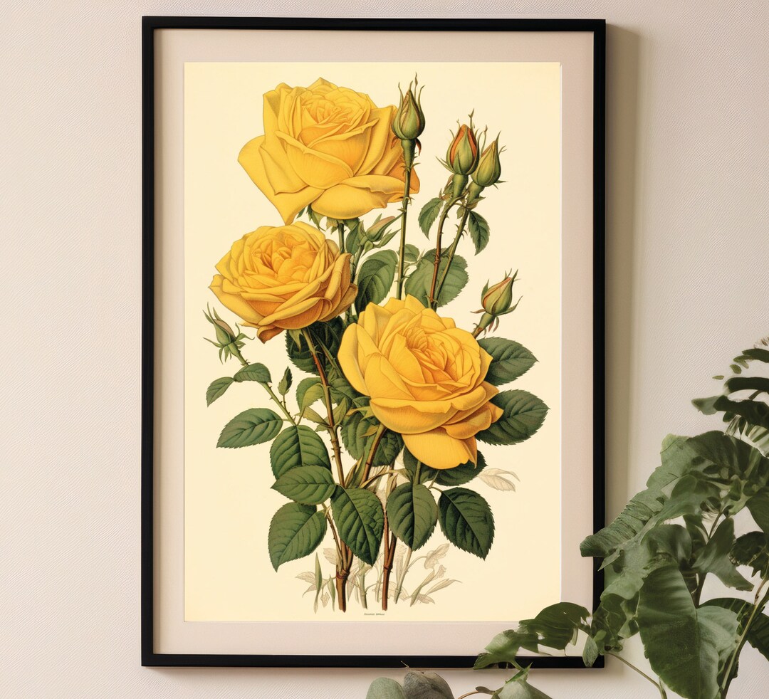 Yellow Roses To Print Vintage Yellow Rose Print, Kitchen Chart Poster, Botanical Book Plate ...