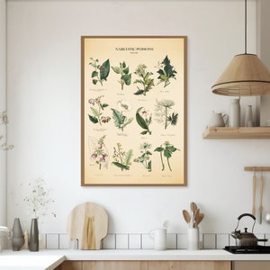 Vintage Poisonous Plants Botanical Chart Print image 3