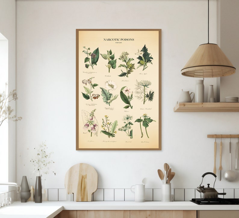 Vintage Poisonous Plants Botanical Chart Print image 3