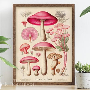Vintage Mushroom Illustration Print: Poisonous Fungi Chart