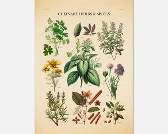 Culinary Herbs and Spices Poster
