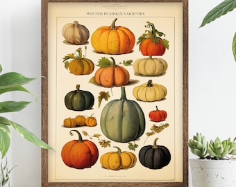 Vintage pumpkin print, autumn plant chart, halloween plant poster, rustic kitchen print