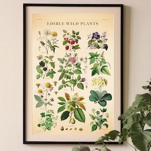 Vintage Eetbare Planten Print, Keuken Botanische Print, Herb Chart Poster, Rustiek Decor, Plant Chart Print