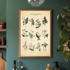 Vintage Poisonous Plants Botanical Chart Print image 2