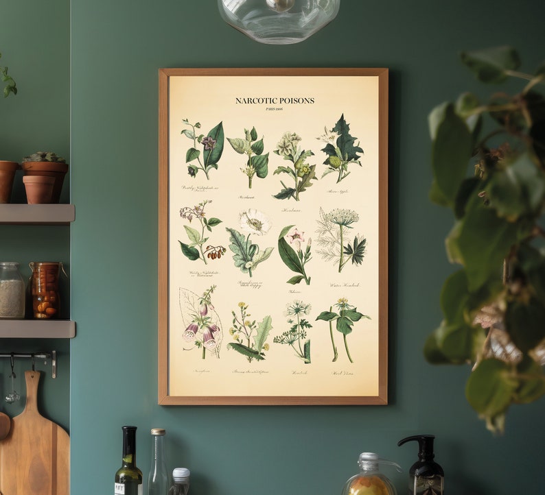 Vintage Poisonous Plants Botanical Chart Print image 2