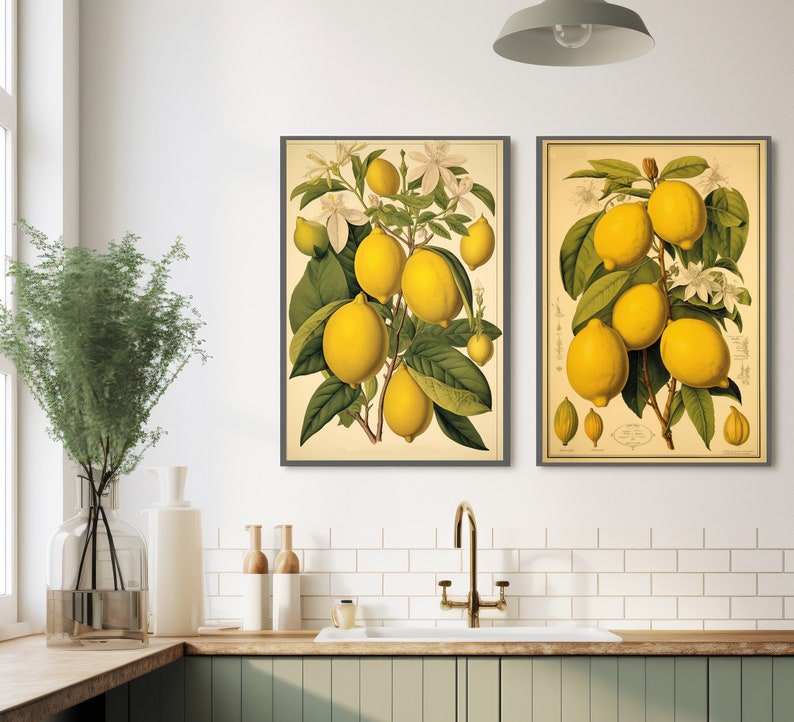 Vintage Lemon Print, Kitchen Botanical Print, Fruit Chart Poster ...