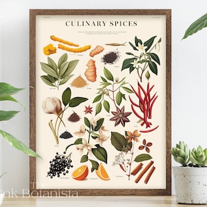 Impresión de gráfico de especias de cocina, póster de cocina, impresión de gráfico de alimentos, impresión de especias, regalo de cocina, decoración de cocina, tipos botánicos de gráfico de especias