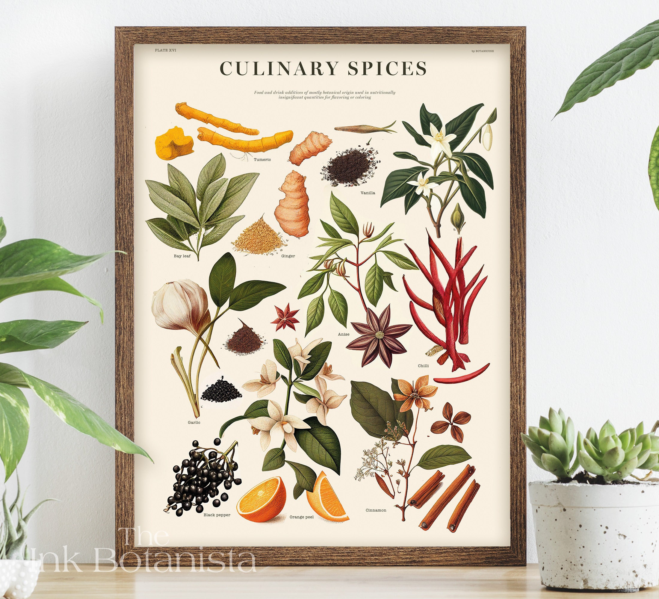 Kitchen Spices Chart Print, Kitchen Poster, Food Chart Print, Spices ...