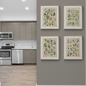 Conjunto de 4 impresiones de hierbas vintage, impresión de plantas comestibles, impresión de gráficos vintage, ilustración botánica antigua, arte de pared de cocina, cartel de hierbas