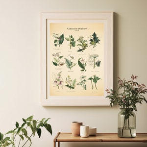 Vintage Poisonous Plants Botanical Chart Print image 9
