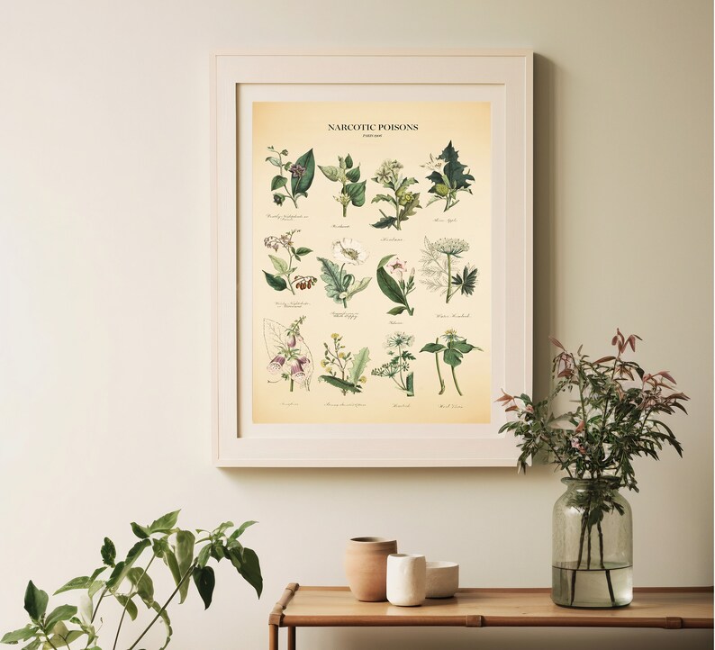 Vintage Poisonous Plants Botanical Chart Print image 9