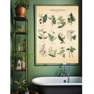 Vintage Poisonous Plants Botanical Chart Print image 7