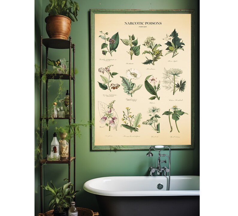 Vintage Poisonous Plants Botanical Chart Print image 7