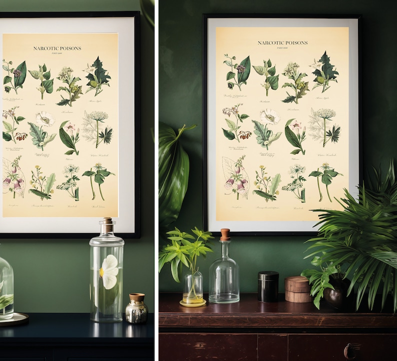 May include: Two framed botanical prints with the title "Narcotic Poisons" in a vintage style. The prints feature illustrations of various plants with their scientific names.