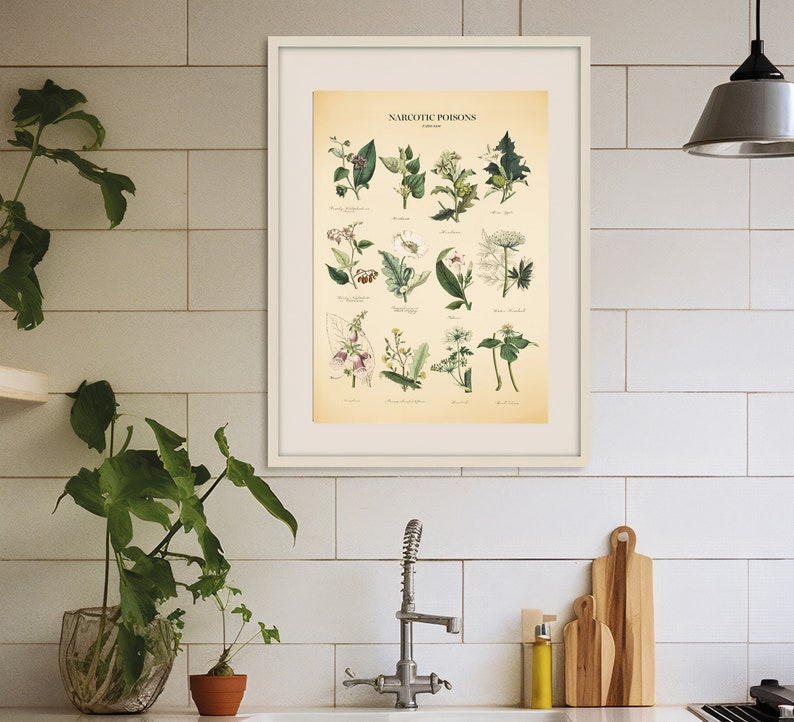 Vintage Poisonous Plants Botanical Chart Print image 5