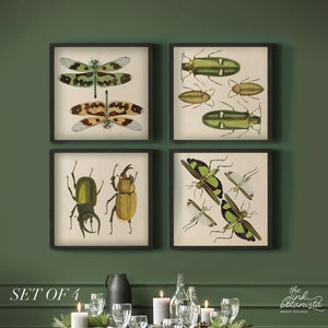 Cartel de impresión de insectos verdes, arte de pared de estilo vintage, impresión botánica de estilo antiguo, ilustración botánica, juego de impresión de arte de insectos de 4 cuadrados