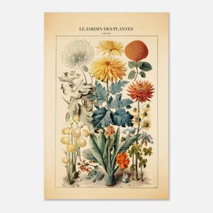 Le Jardin des Plantes Botanical Poster