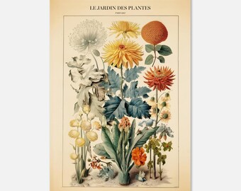 Poster botanique Le Jardin des Plantes
