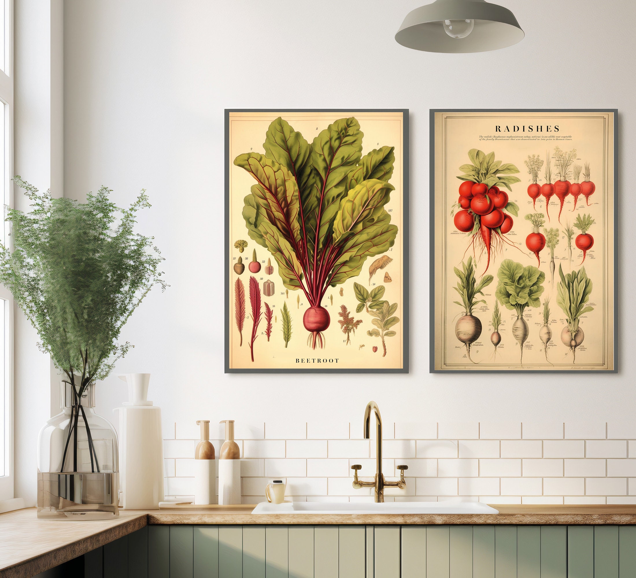 Vintage Radishes Chart Print, Kitchen Botanical Print, Vegetable Chart