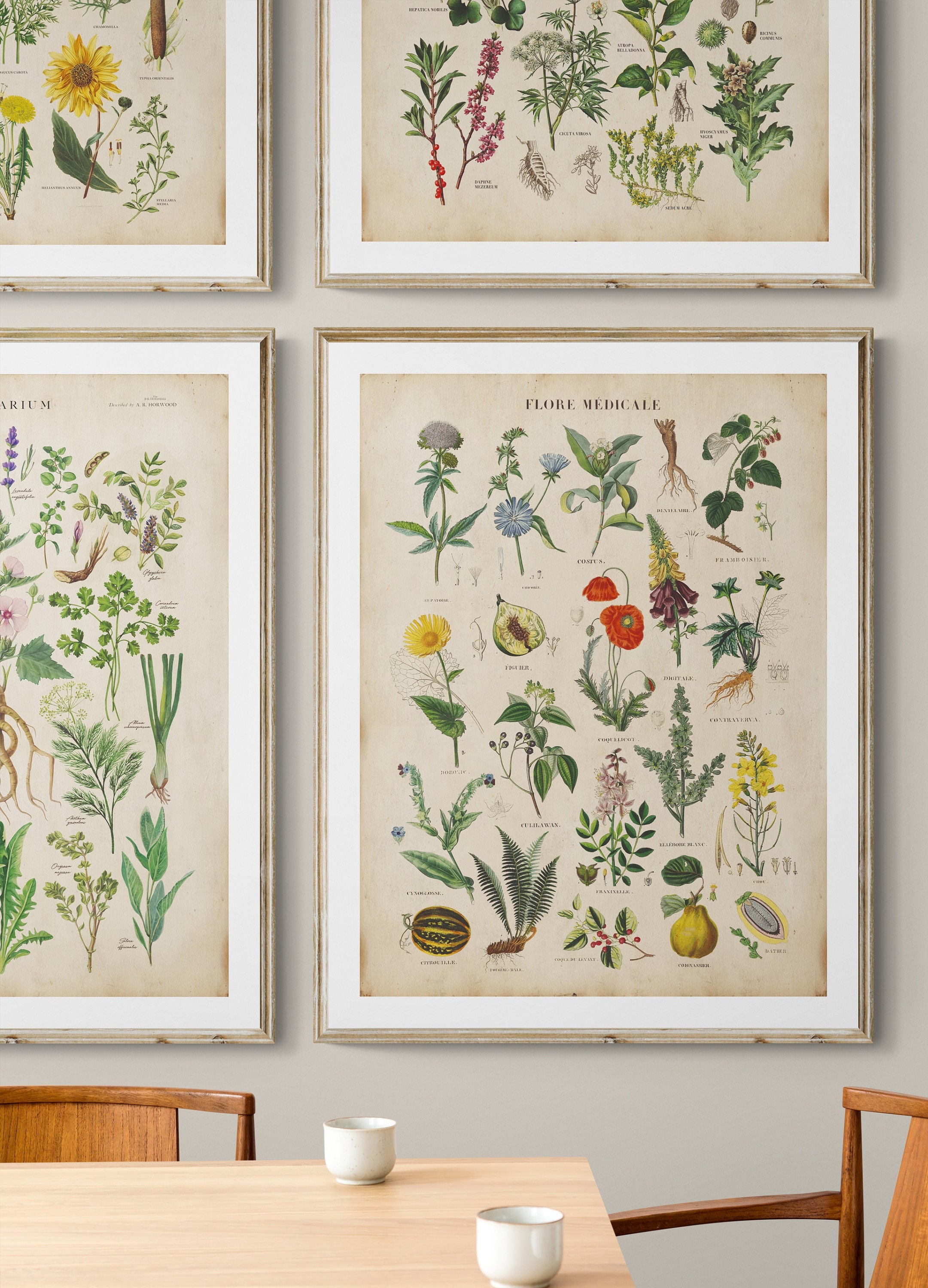 Vintage Herbs Print Set: Antique Botanical Kitchen Wall Art - Etsy