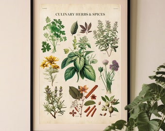 Vintage Kitchen Herbs Print: Botanical Chart Poster
