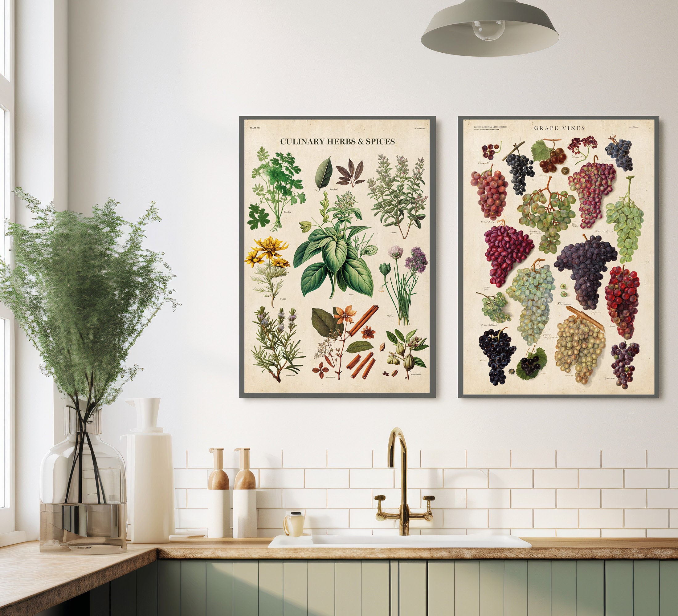 Vintage Kitchen Herbs Print: Botanical Chart Poster - Etsy