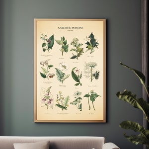 Vintage Poisonous Plants Botanical Chart Print image 8