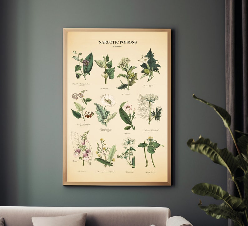 Vintage Poisonous Plants Botanical Chart Print image 8