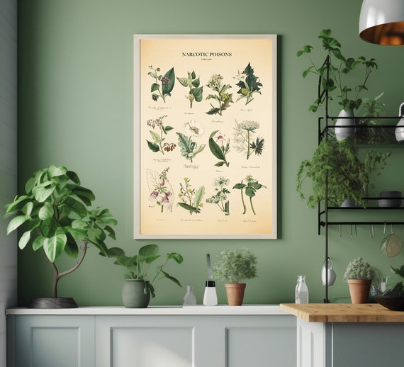 Vintage Poisonous Plants Botanical Chart Print