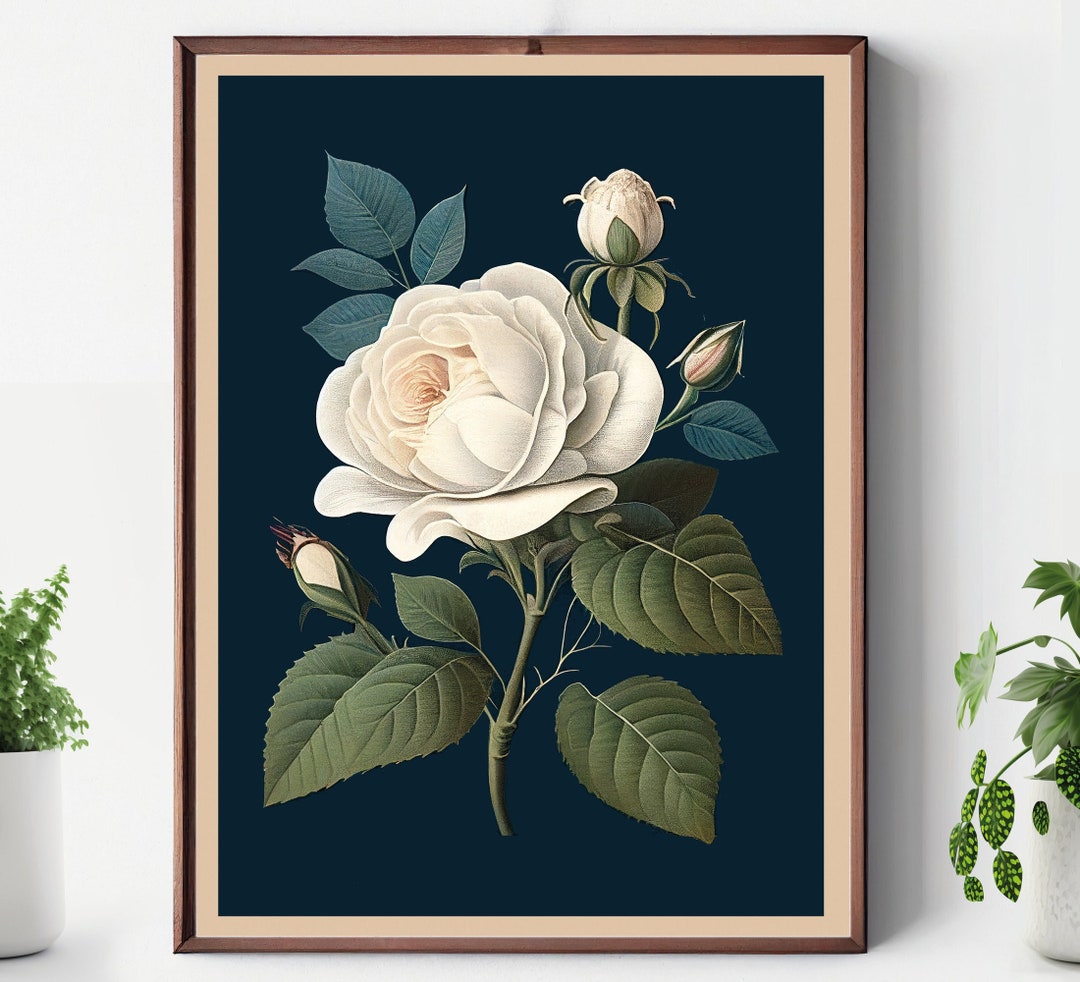 White Rose Botanical Print: Vintage Style Floral Wall Art - Etsy