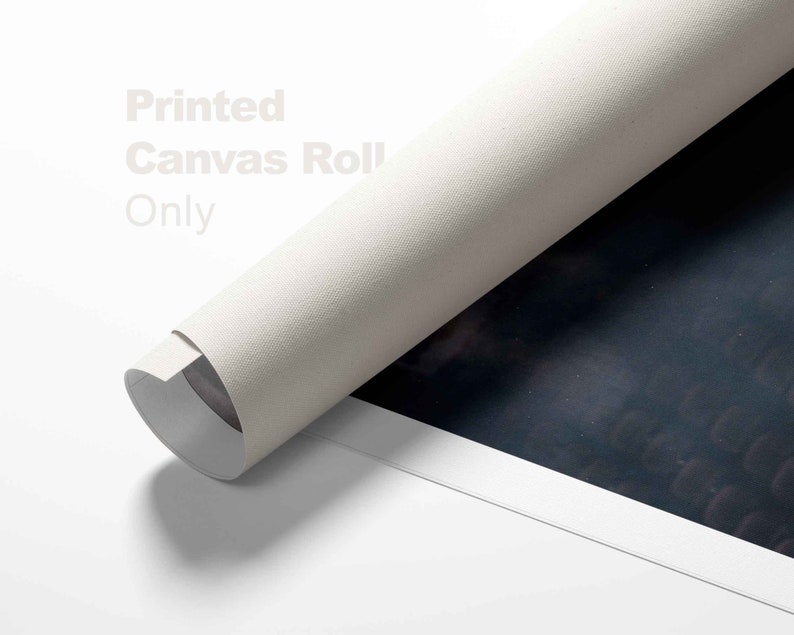 May include: Rolled canvas print with the text "Printed Canvas Roll Only" in a light gray font. The canvas is a light beige color, and the background is a dark, textured pattern.