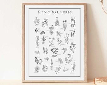 12x18 Medicinal Herb Digital Print Download | Hand Drawn Herbs | Alternative Medicine Poster | Healing Herbs Wall Decor | Holistic Health