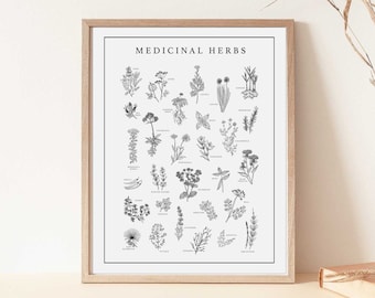 8x10 Medicinal Herb Digital Print Download | Hand Drawn Herbs |  Alternative Medicine Poster | Healing Herbs Wall Decor | Holistic Health